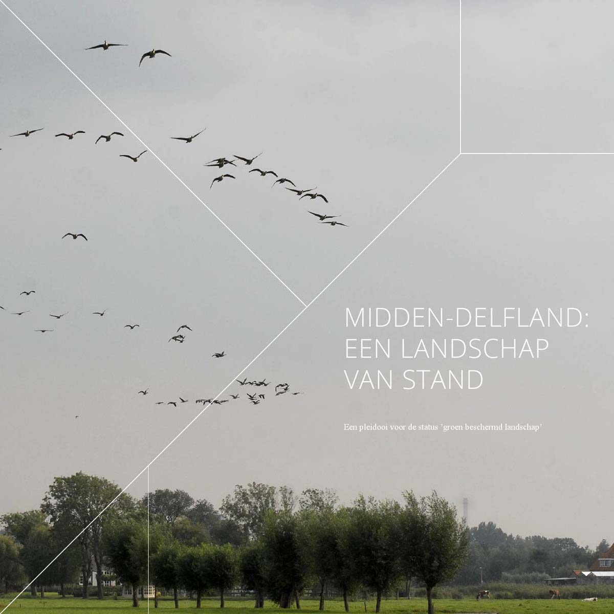 Midden-Delfland een landschap van stand
