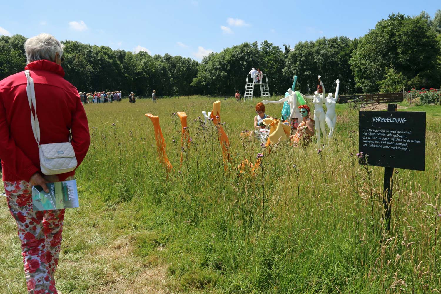 Boerol was één groot feest vol cultuur in de polder - 27 juni 2015