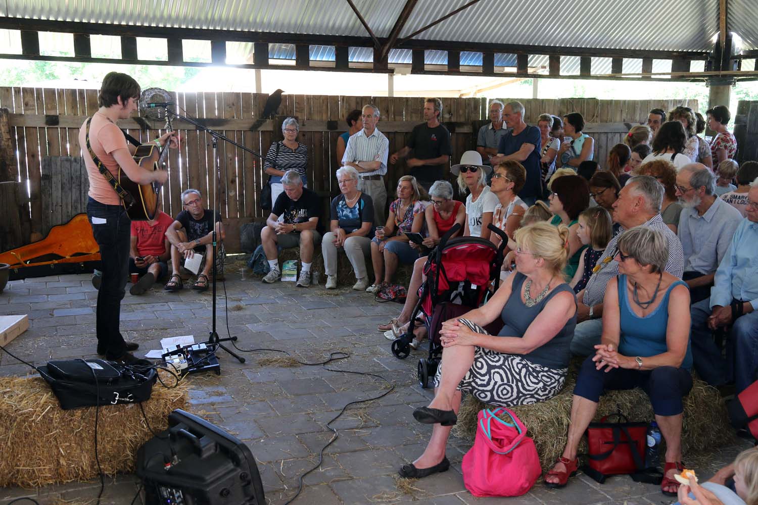 Boerol was één groot feest vol cultuur in de polder - 27 juni 2015